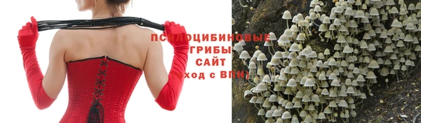 mdma Бородино