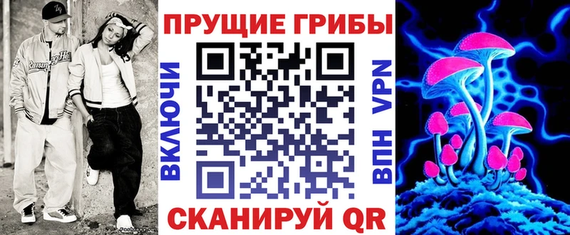 дарнет шоп  площадка официальный сайт  Псилоцибиновые грибы Psilocybe  Кировск 